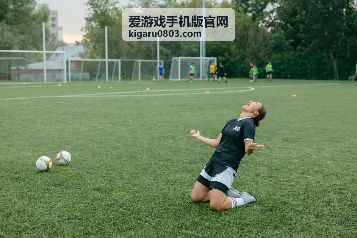 爱游戏手机版官网版本更新补偿栏目封面