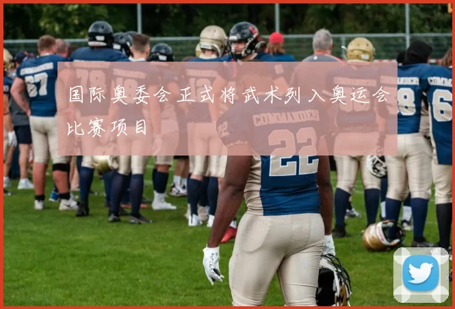 国际奥委会正式将武术列入奥运会比赛项目