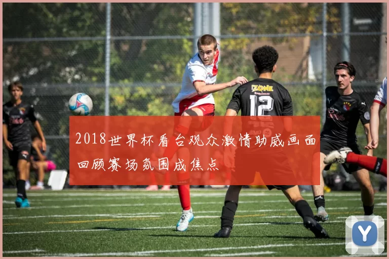 2018世界杯看台观众激情助威画面回顾赛场氛围成焦点